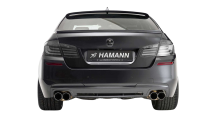 Mi5Sion Rear Diffuser in Carbon Black
